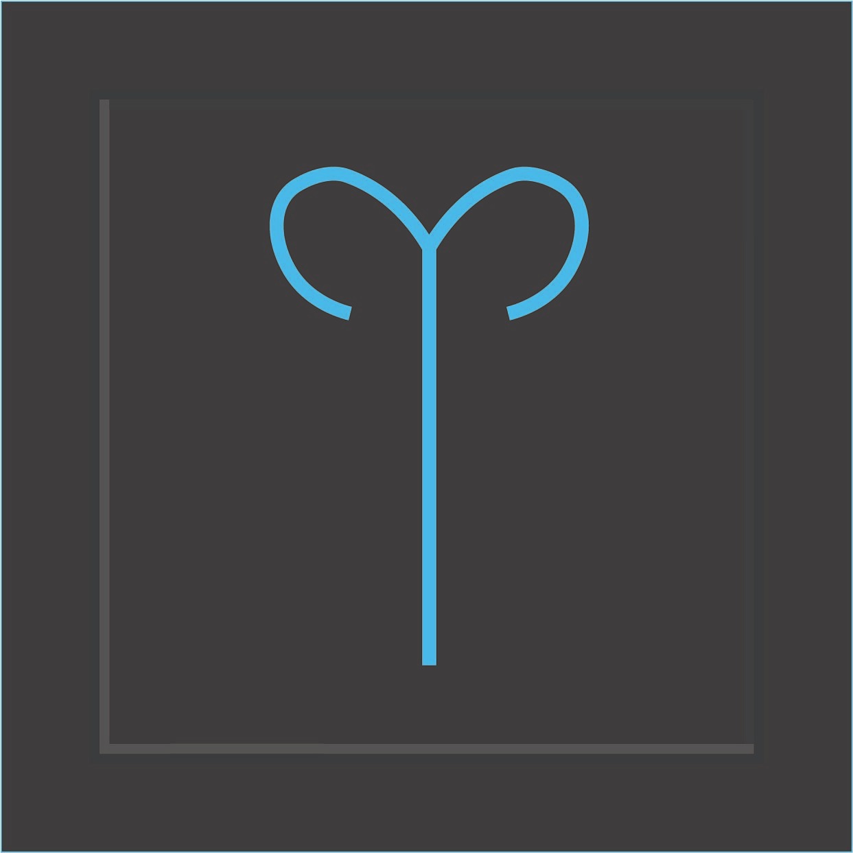 Signo 15